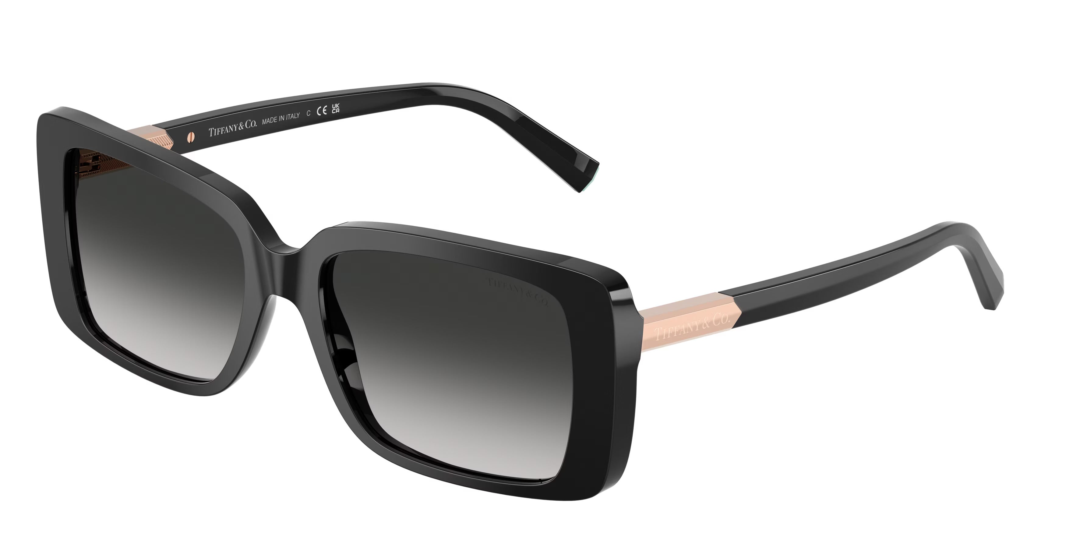 Tiffany & Co TF4249 Rectangular Sunglasses in Black – Designer