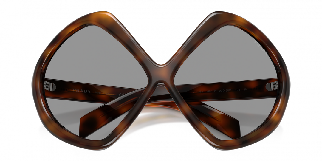 Prada PR B21S Oversized XL Sunglasses in Havana Brown