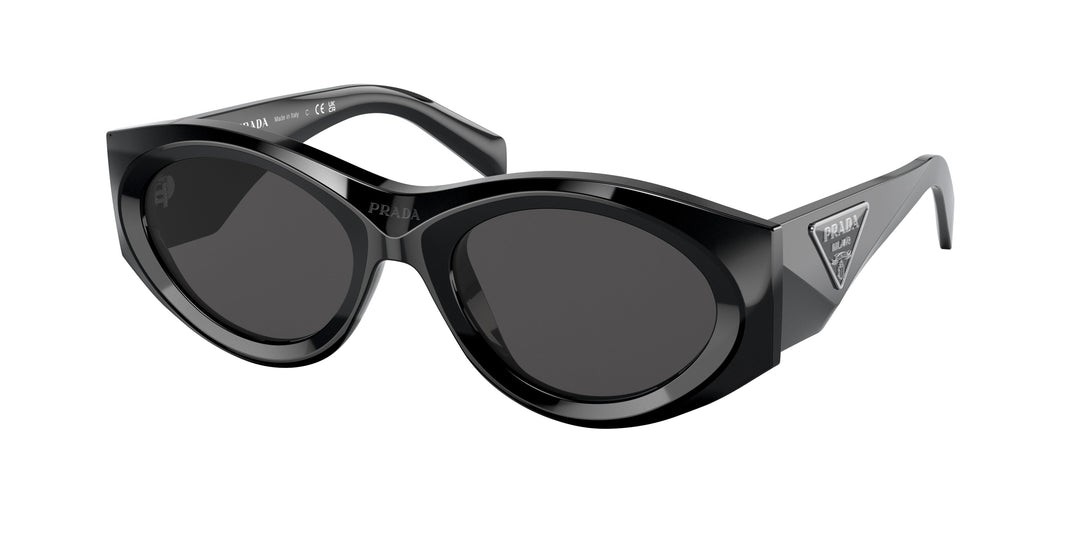 Prada PR20ZSF Rounded Sunglasses in Black