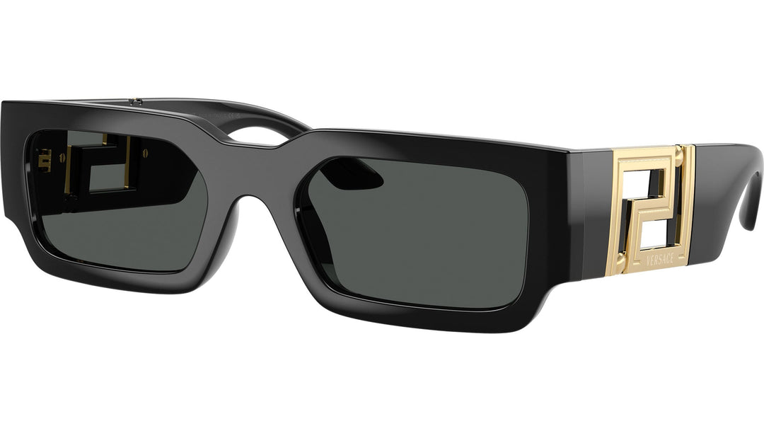 Versace VE4506U Black Greca Sunglasses