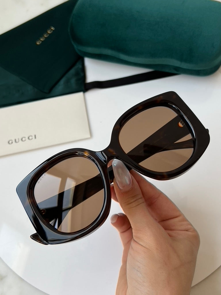 Gucci GG1257S Thick Rim Havana Rounded Sunglasses