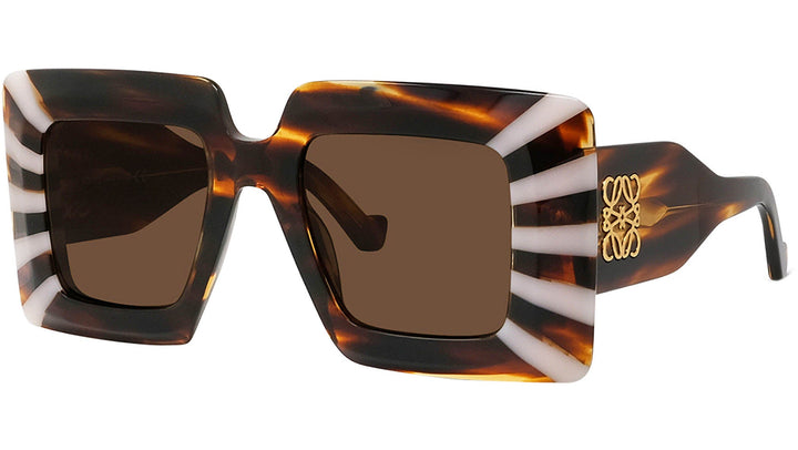 Loewe LW40090I Square Sunglasses in Havana Brown