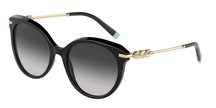 Tiffany & Co TF4189B Cat Eye Sunglasses in Black