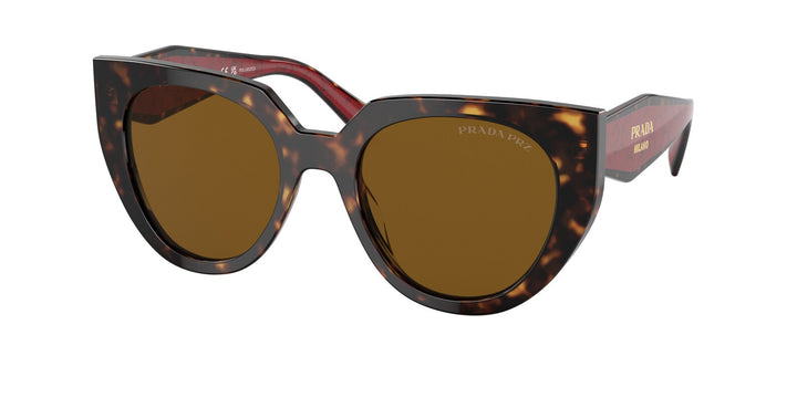 Prada PR14WS Sunglasses in Tortoise Polarized