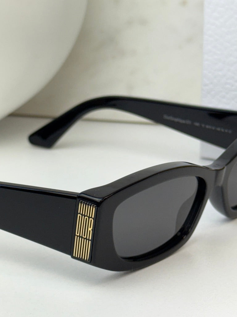 Dior Graphique S1I Sunglasses in Black