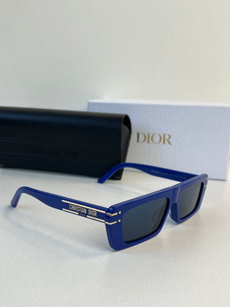 Dior DiorSignature S2U Sunglasses in Blue