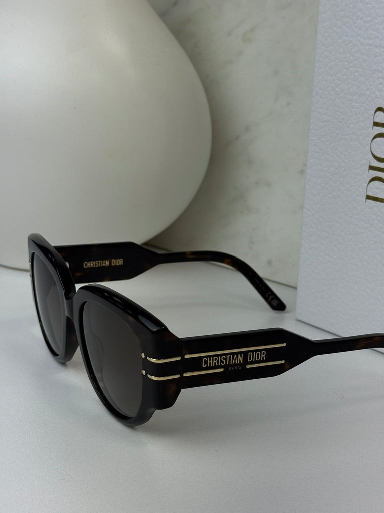 Dior Signature R2I Sunglasses in Havana Brown