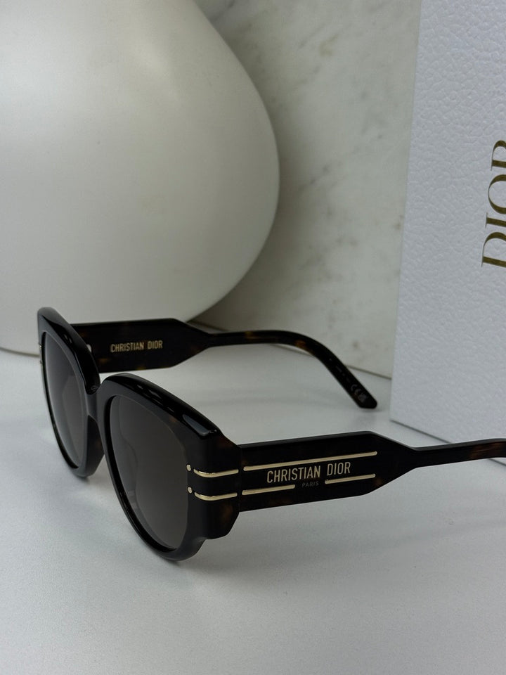 Dior Signature R2I Sunglasses in Havana Brown