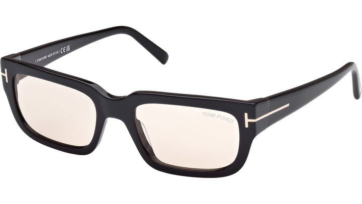 Tom Ford Ezra FT1075 Sunglasses in Black Tint