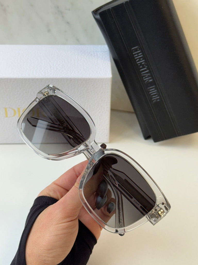 Dior Signature S7F Sunglasses in Transparent Grey