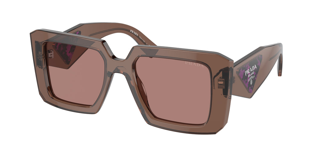 Prada PR23YS Sunglasses in Transparent Brown