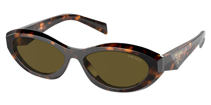 Prada PR26ZS Sunglasses in Tortoise Brown