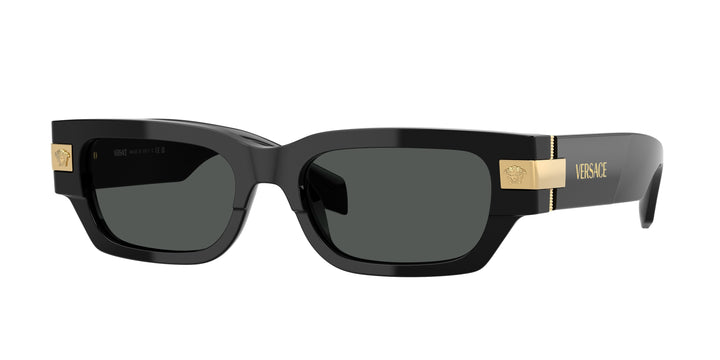 Versace VE4465 Black Sunglasses