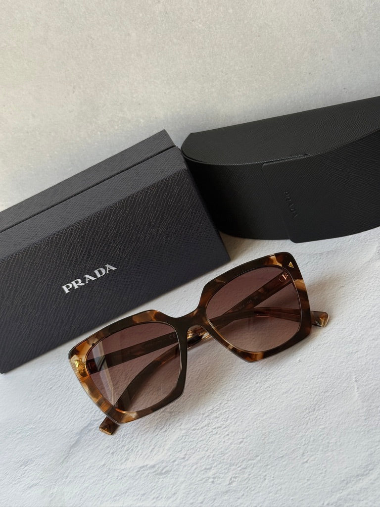Prada PR23ZS Square Sunglasses in Havana Brown