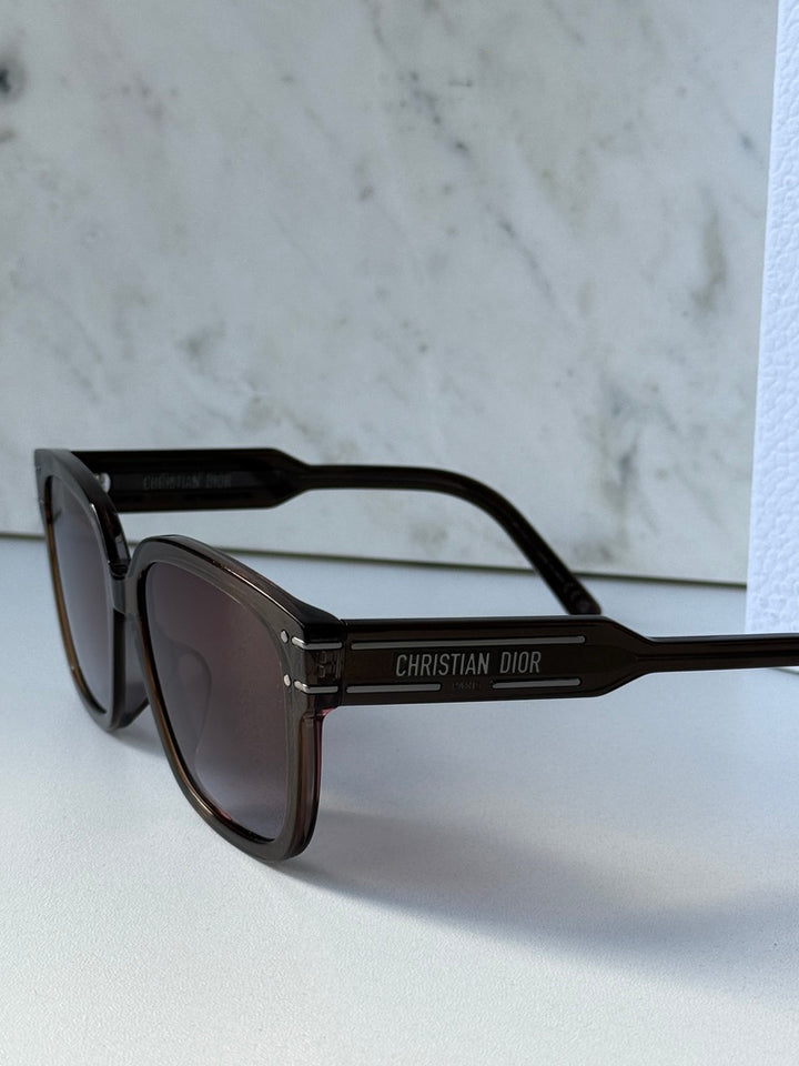 Dior Signature S7F Sunglasses in Shiny Brown
