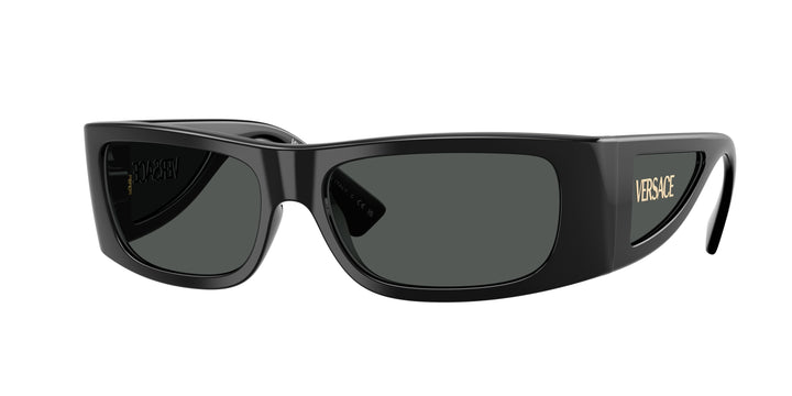 Versace VE4482 Sunglasses in Black Gold