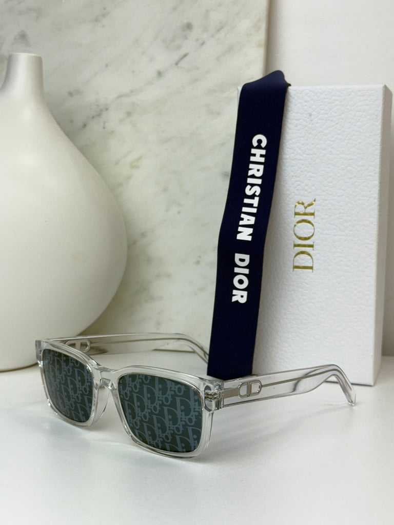 Gafas de sol Dior CDLink S2U en negro 