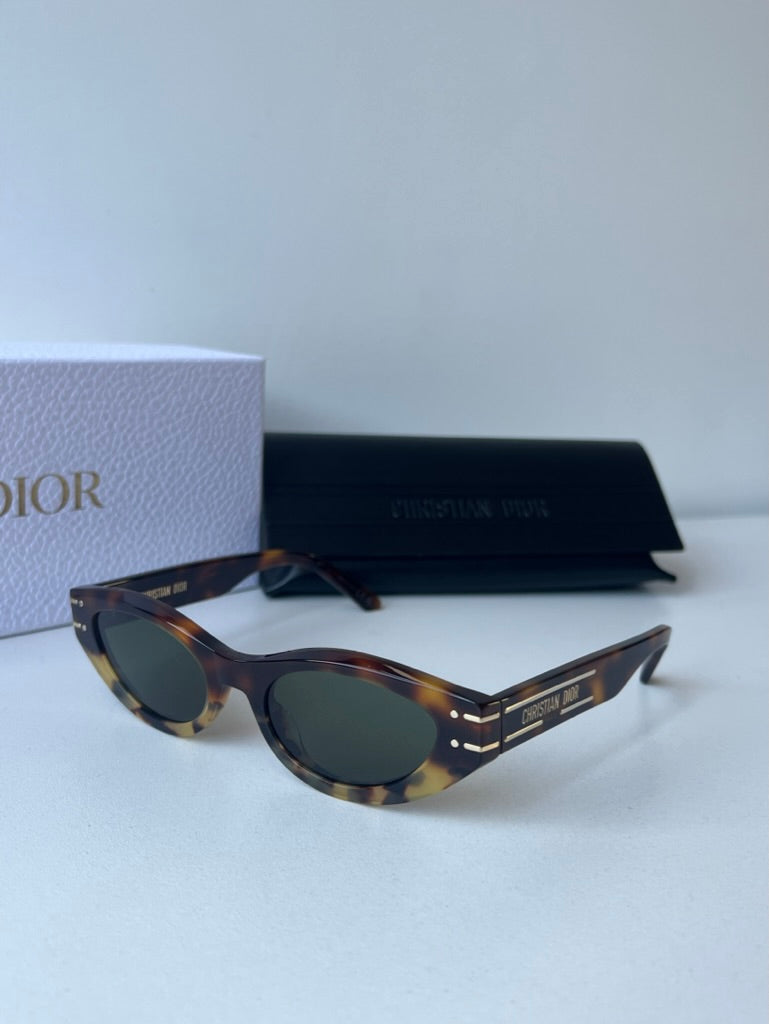 Dior Signature B5I Cat Eye Sunglasses in Brown