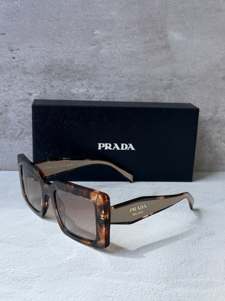 Prada PR D01S Square Sunglasses in Havana Powder