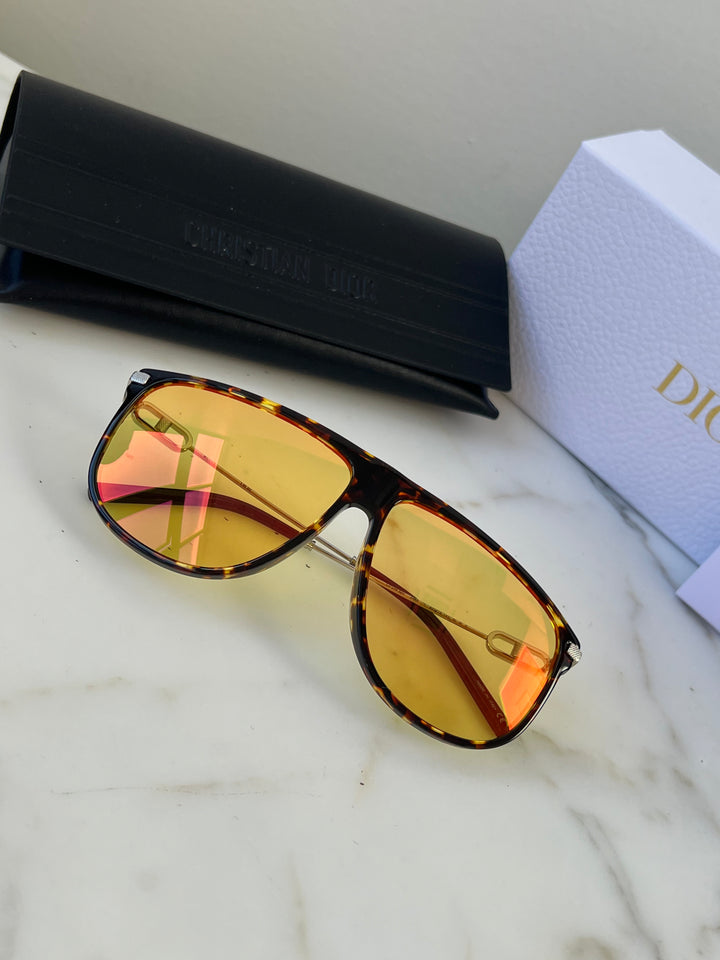 Dior CDLink S2U Sunglasses in Havana Brown