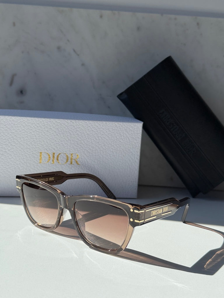 Dior Signature S6U Sunglasses in Khaki