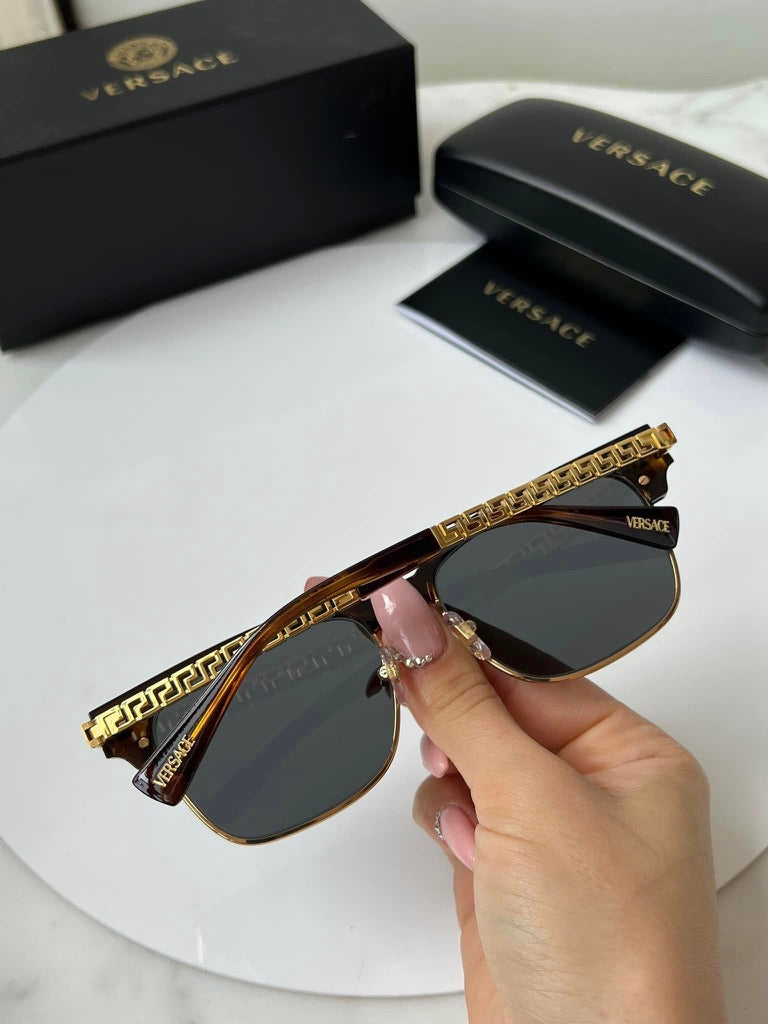 Versace VE4447 Sunglasses in Brown