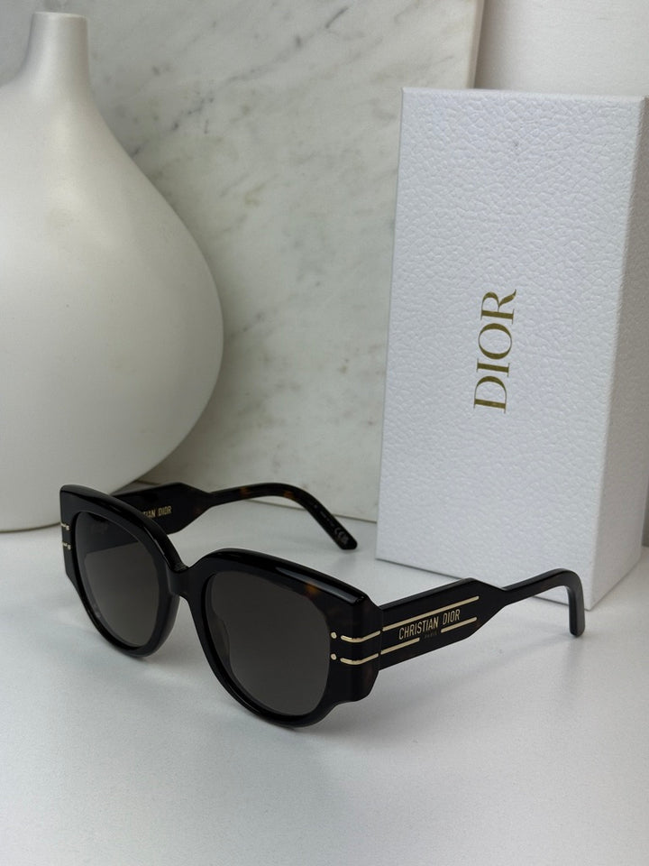 Dior Signature R2I Sunglasses in Havana Brown