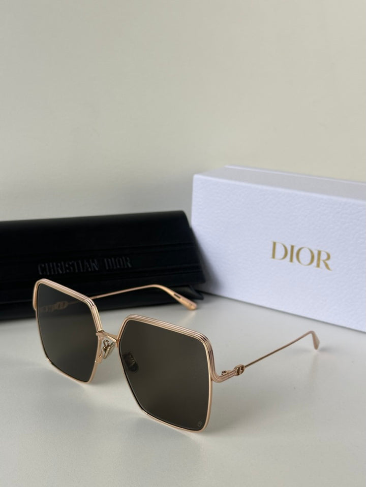 Dior EverDior S1U Sunglasses in Rose Gold Green