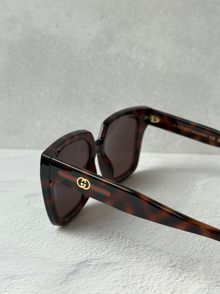 Gucci GG2102S Brown Square Sunglasses