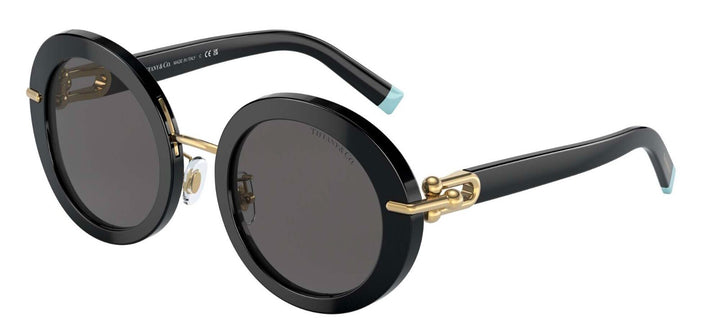 Tiffany &amp; Co TF4201 Round Sunglasses in Black
