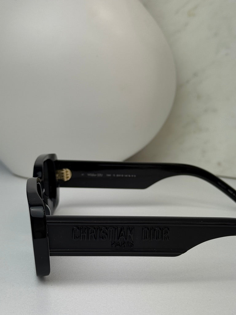 Dior Wildior S2U Sunglasses in Black
