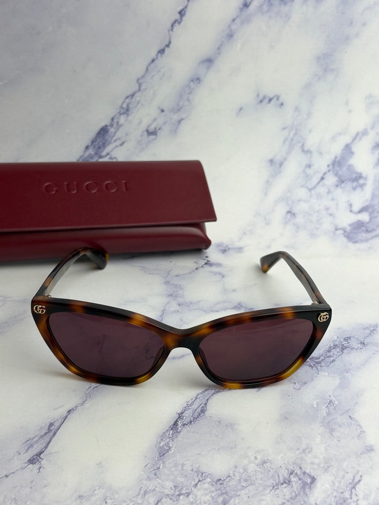 Gucci GG1815S Cat Eye Sunglasses in Havana Brown