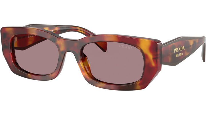 Prada PR B05S Sunglasses in Poppy Tortoise