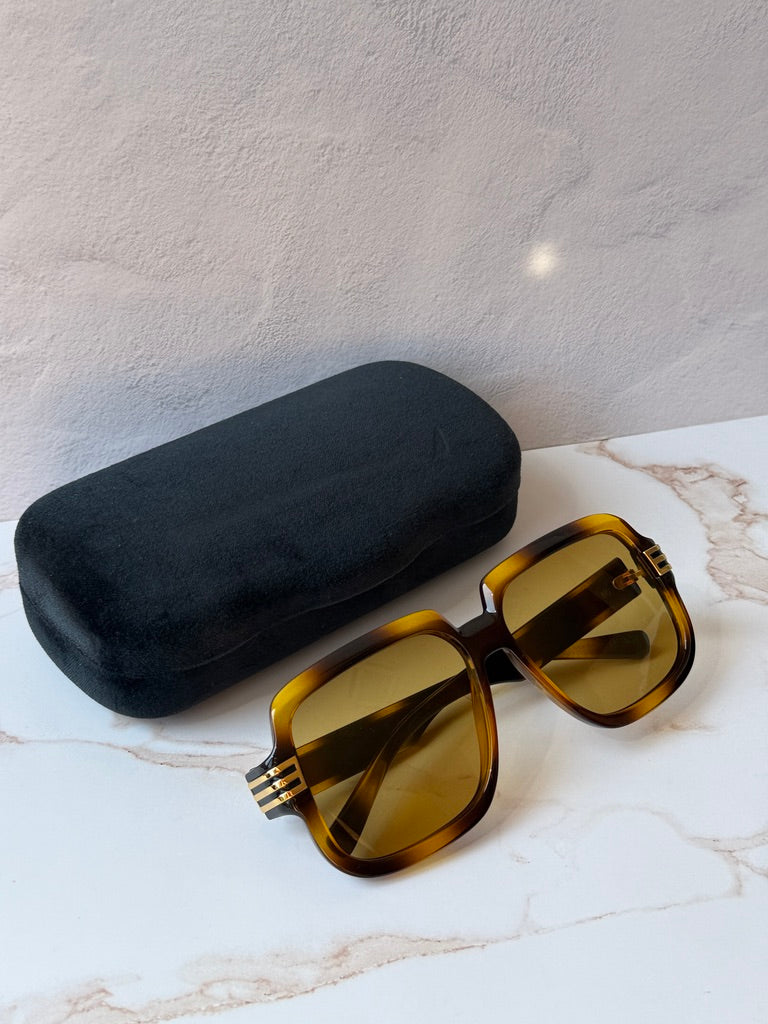 Gucci GG0979S Unisex Square Sunglasses in Brown