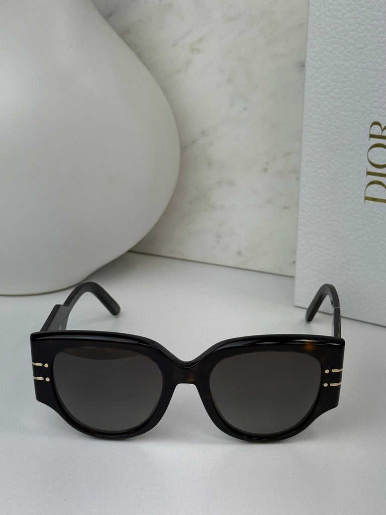 Dior Signature R2I Sunglasses in Havana Brown