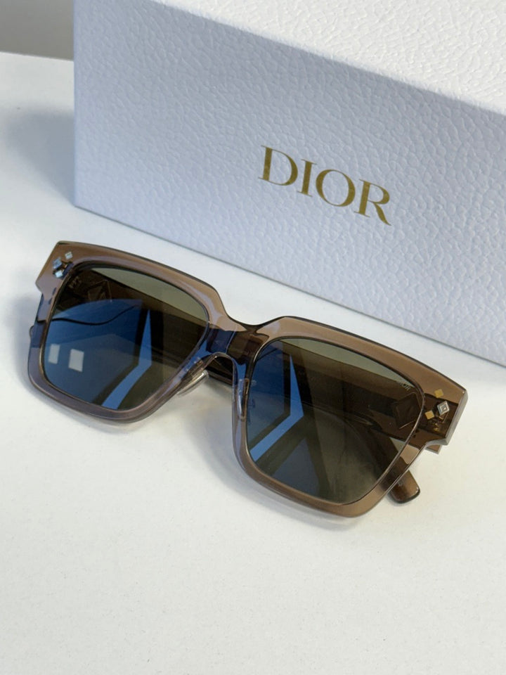 Dior CD Diamond S3F Sunglasses in Transparent Brown