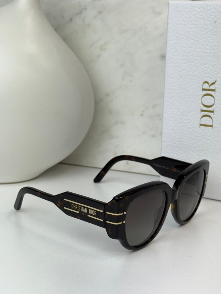 Dior Signature R2I Sunglasses in Havana Brown