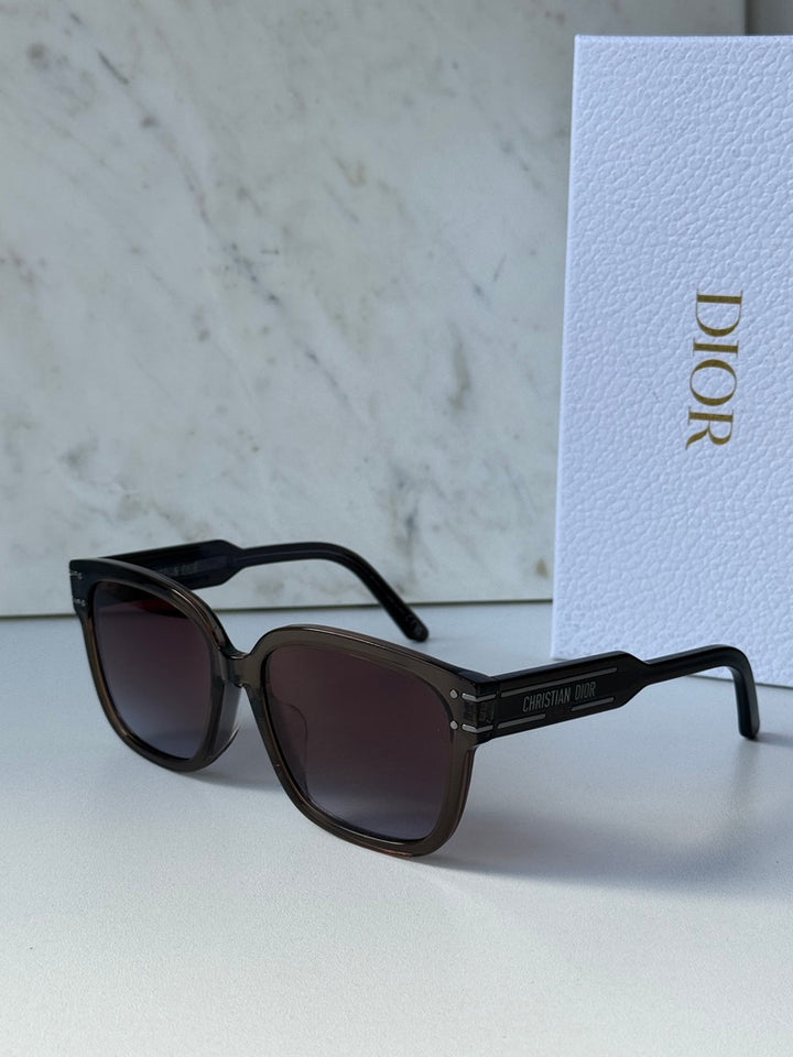 Dior Signature S7F Sunglasses in Shiny Brown