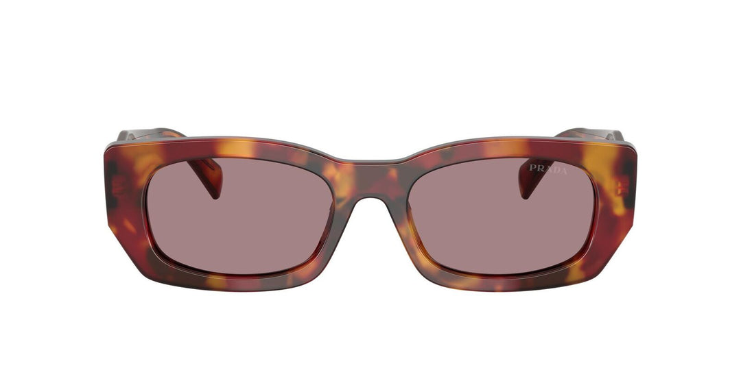 Prada PR B05S Sunglasses in Poppy Tortoise