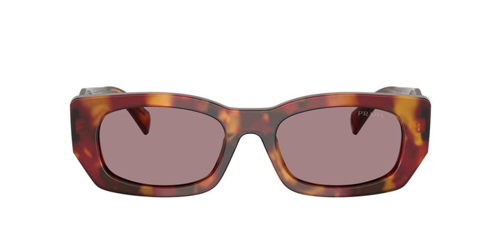 Prada PR B05S Sunglasses in Poppy Tortoise