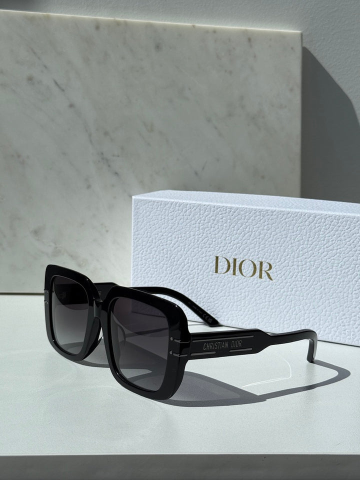 Dior Signature S11F Sunglasses in Black