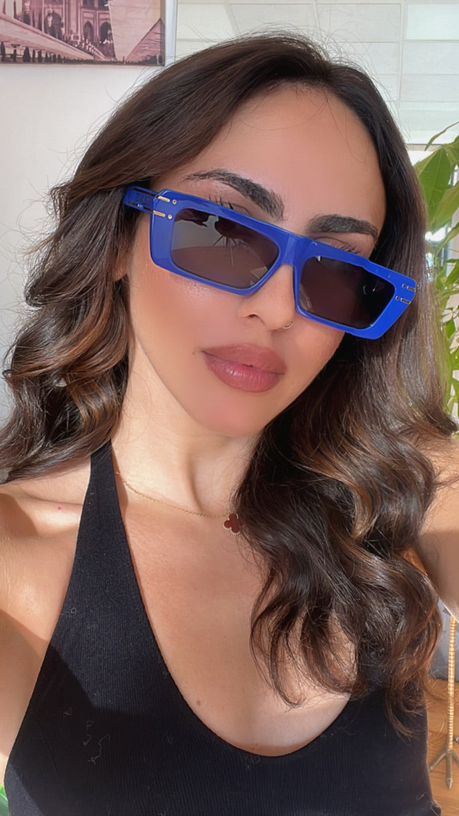 Dior DiorSignature S2U Sunglasses in Blue