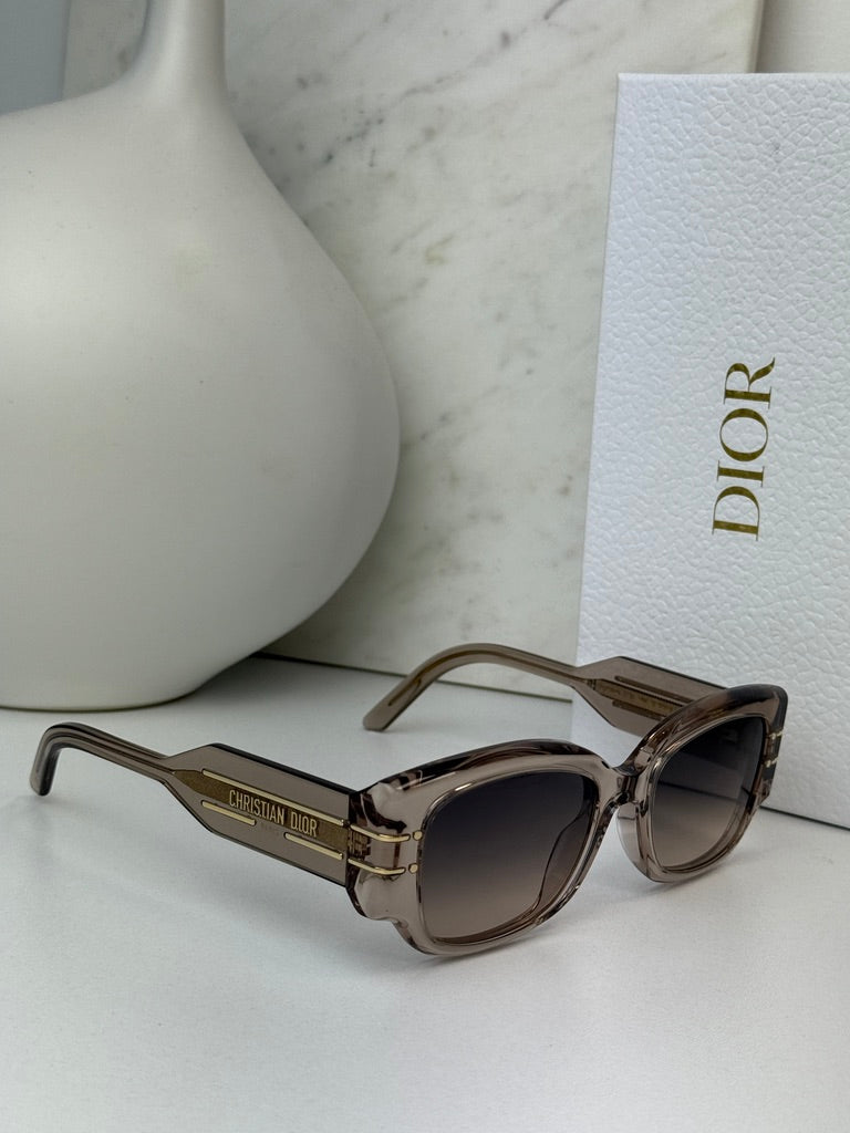 Dior Signature S13I Sunglasses in Transparent Pink