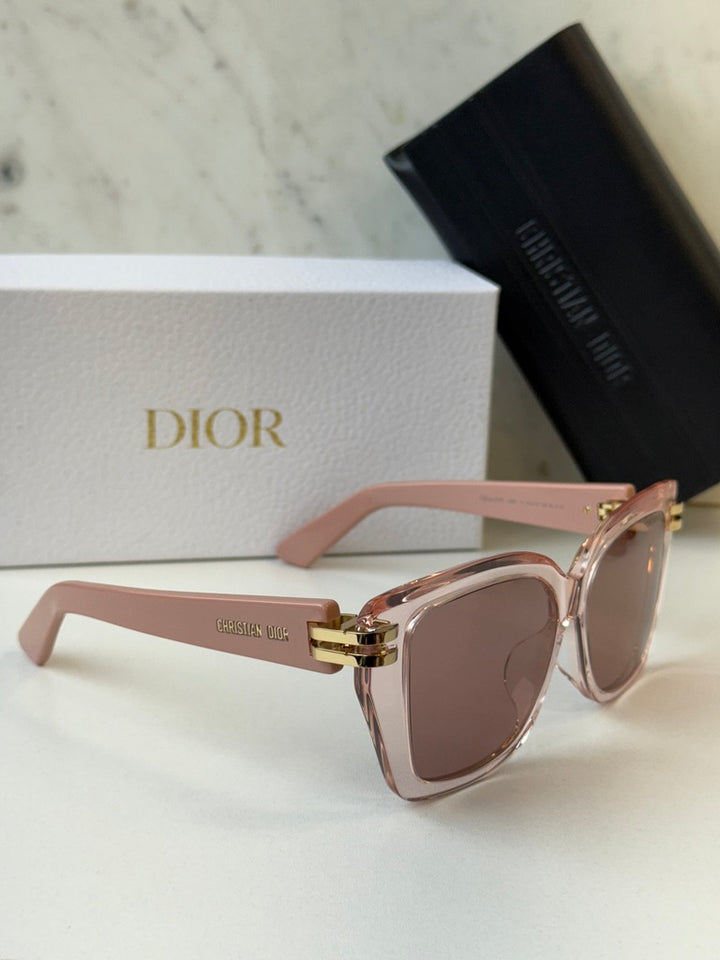 Dior CDior S1F Oversized Butterfly Sunglasses in Transparent Pink