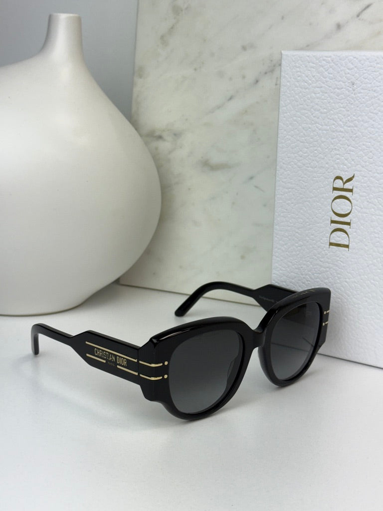 Dior Signature R2I Sunglasses in Black