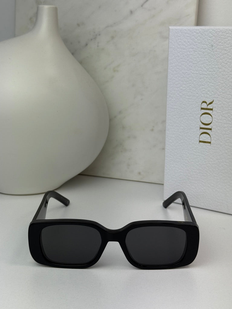 Dior Wildior S2U Sunglasses in Black