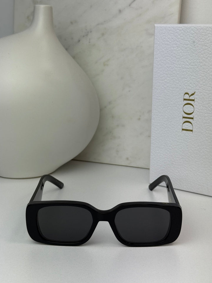 Dior Wildior S2U Sunglasses in Black
