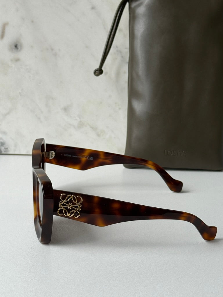 Loewe LW40145F Cat Eye Sunglasses in Havana Brown