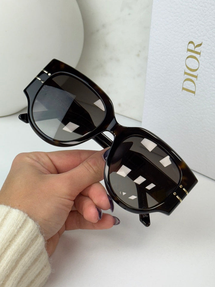 Dior Signature R2I Sunglasses in Havana Brown