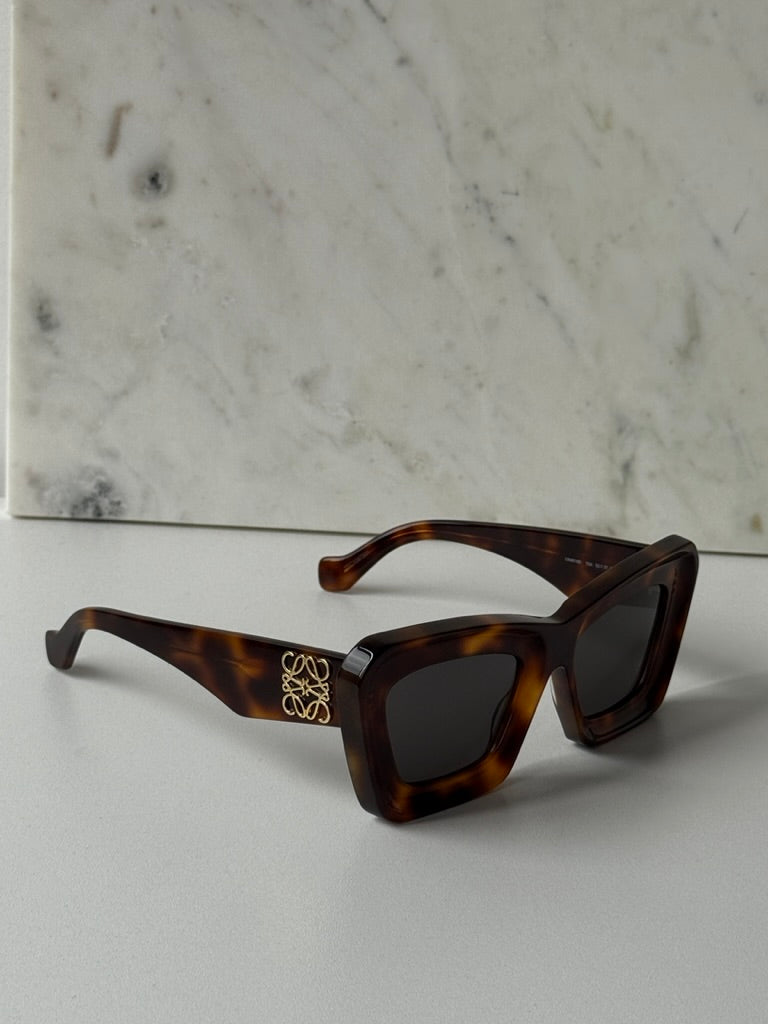 Loewe LW40145F Cat Eye Sunglasses in Havana Brown